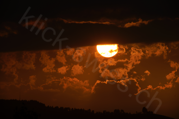 Sonnenuntergang am Zugersee in Arth