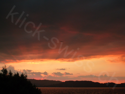Sonnenuntergang am Zugersee in Arth